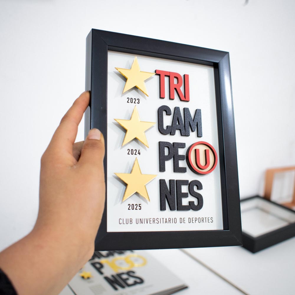 Cuadro tri campeón Universitario 15x20cm sin vidrio