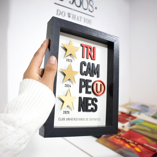 Cuadro tri campeón Universitario 15x20cm sin vidrio