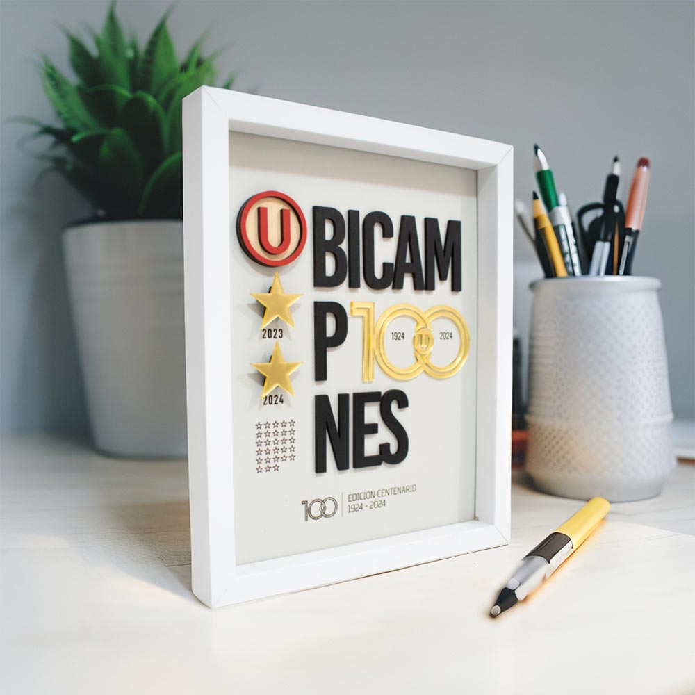 Cuadro bi campeón Universitario 20x25cm sin vidrio