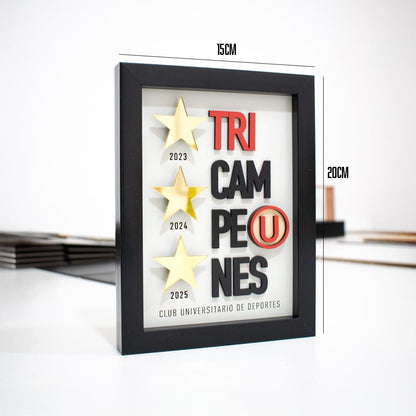 Cuadro tri campeón Universitario 15x20cm sin vidrio