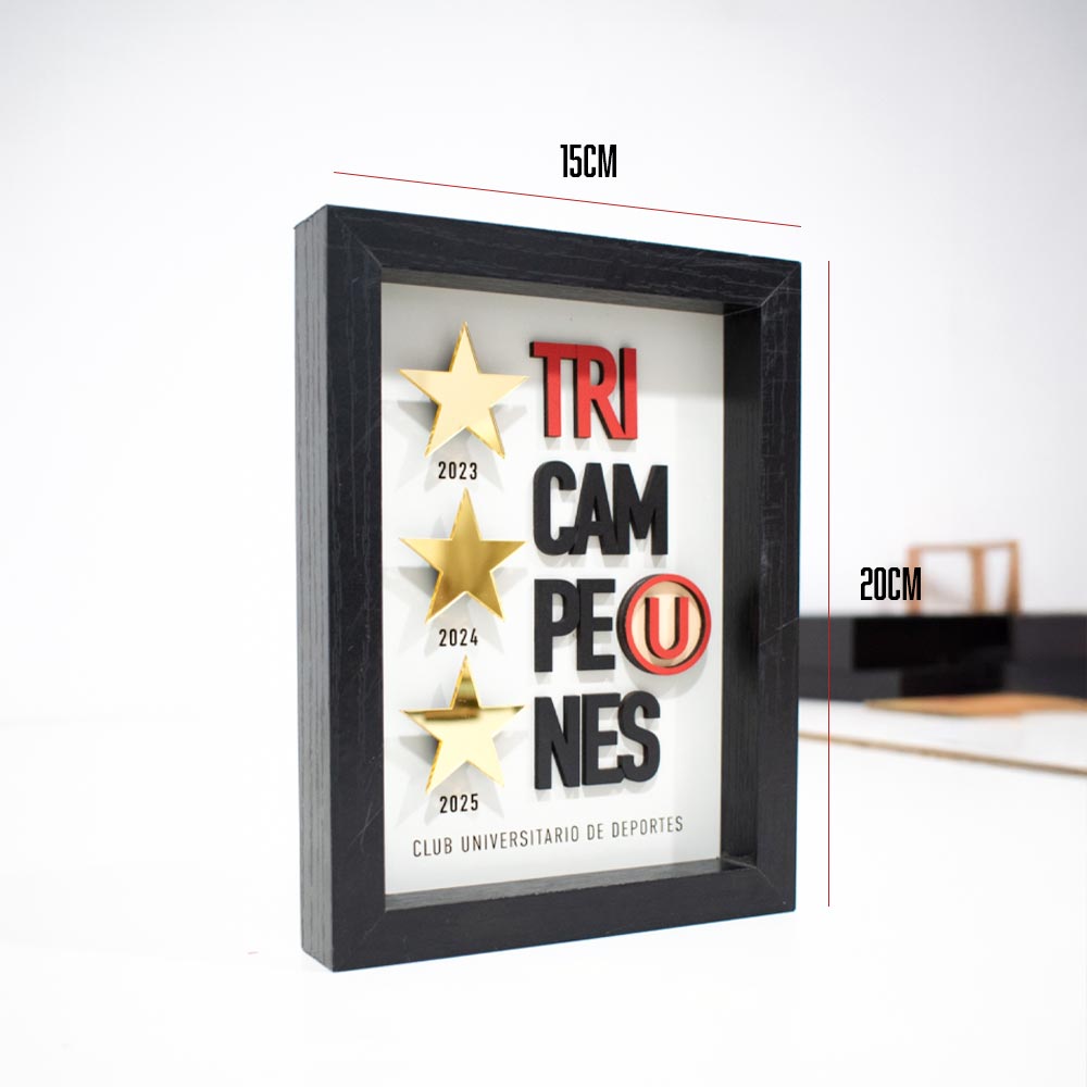Cuadro tri campeón Universitario 15x20cm sin vidrio