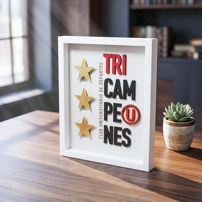 Cuadro tri campeón 23-24-25 Universitario 20x25cm sin vidrio